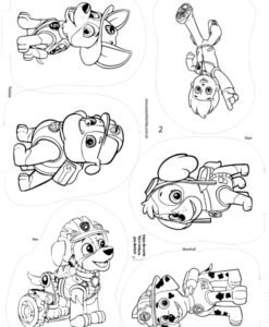 Tecido coleção 2 Patrulha Canina (6)